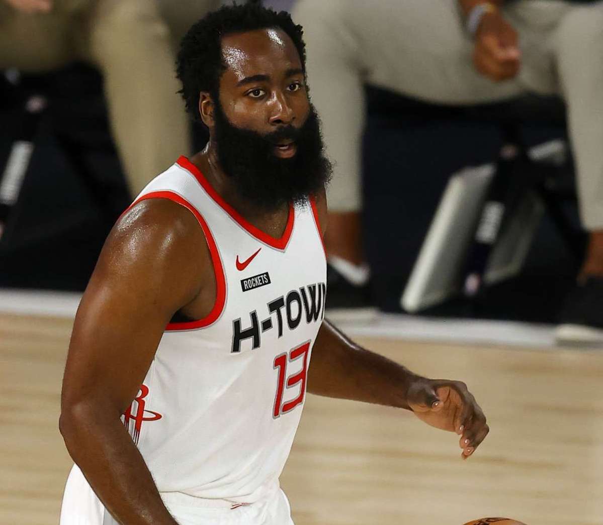 的新生力量 的新生力量