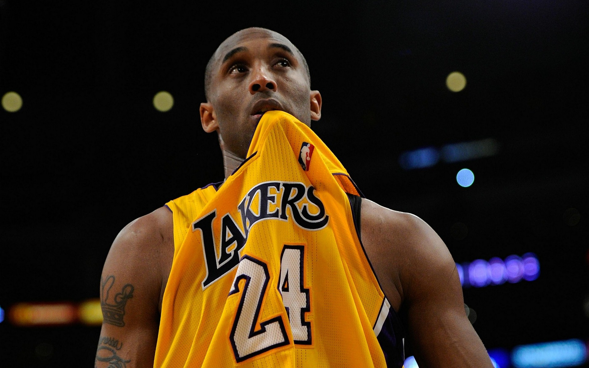 能够带来更 能够带来更