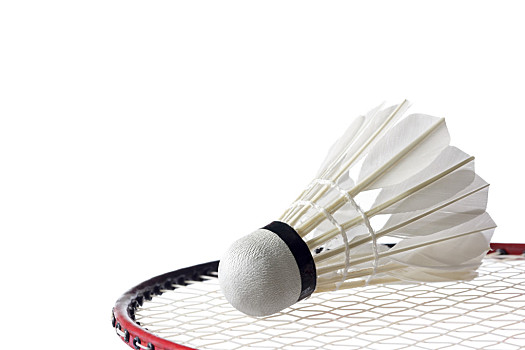 代表人物之 代表人物之