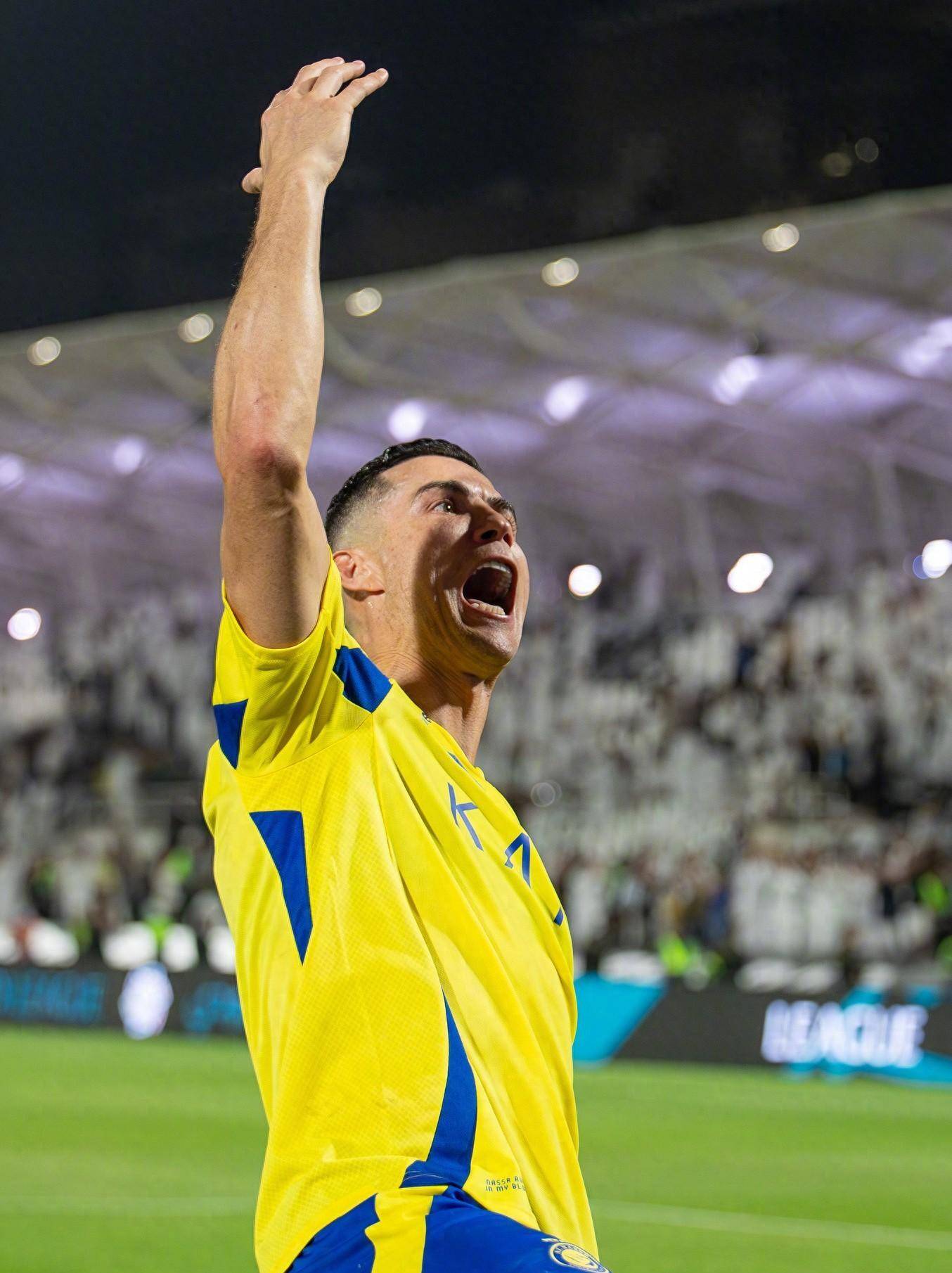 三角与低平 三角与低平